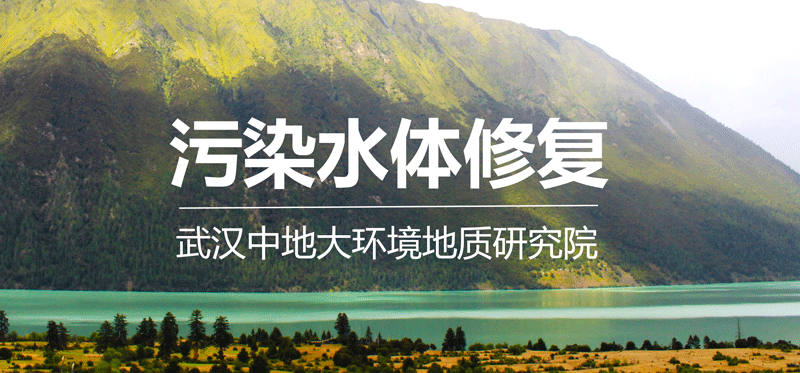 污染水體修復.png